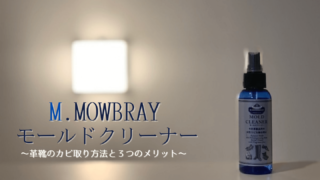 モールドクリーナーカビ取り方法と3つのメリット